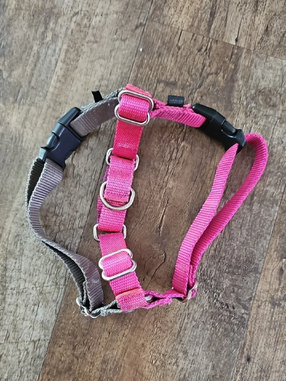 Dogs Pink and Gray Harness
